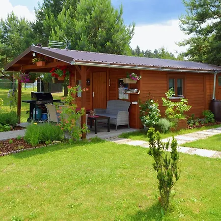 Eva Ralsko * Kurivody