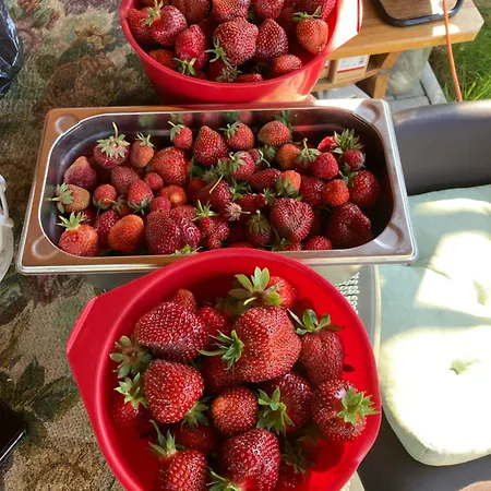 בית נופש Eva Ralsko