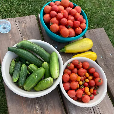 Eva Ralsko Tatil Evi Kurivody